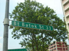Bukit Batok Street 33 #99302